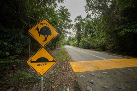 Very Strange Funny Road Signs 39 Pics