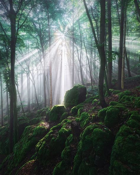 Bavarian Wood Disco By Kilian Schönberger 500px Beautiful Nature