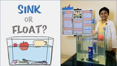 Sink Or Float Science Experiment I Stem Project Idea Density