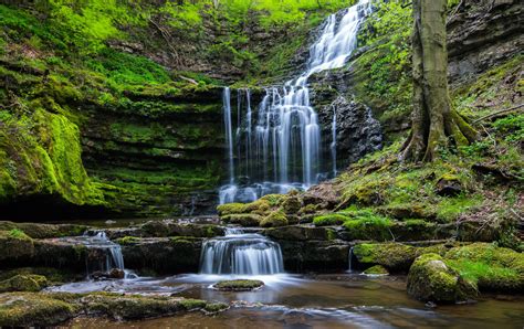 Waterfalls And Moss Waterfall Nature Forest Hd Wallpaper Wallpaper