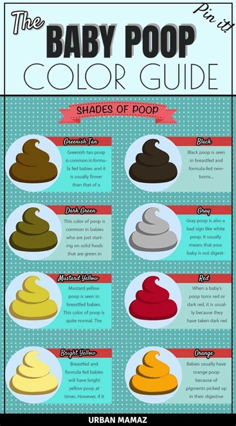 Whats The Color Of Your Baby Poop Telling You Find Out Everything You