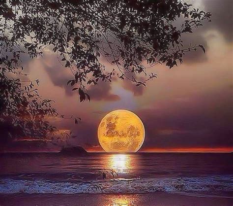 Mooie Plaatjes Moon Pictures Nature Pictures Pretty Pictures Moon