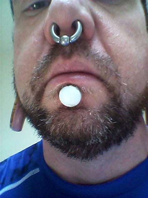 17mm Ptfe Labret And 4g Septum Stretched