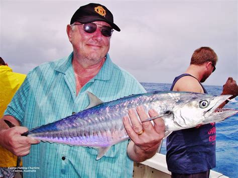 Cairns Reef Fishing Cairns And Great Barrier Reef