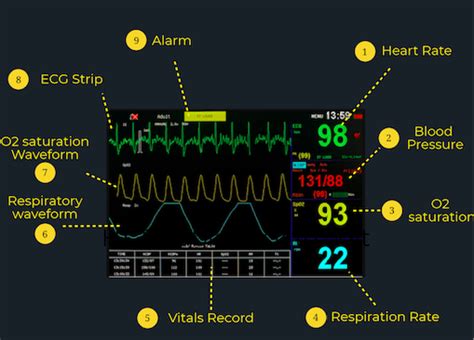 How To Read About Patient Vital Signs Monitor Rooemed