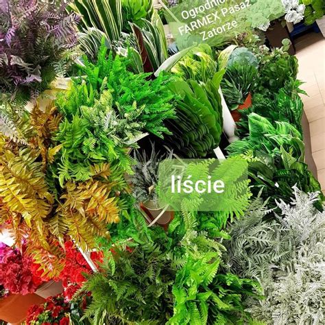 Pin By Sklep Ogrodniczy Farmex On Kwiaty Sztuczne Vegetables Cabbage