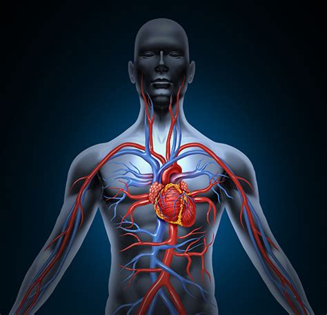 Podcast 98 Reduce Heart Failure Risk By Improving The Lymphatic System