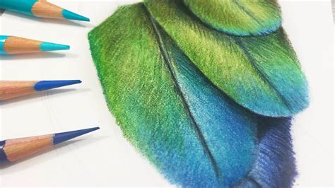 Realtime How To Draw Feathers In Colored Pencil Youtube