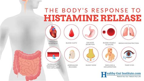 Chronic Allergies Or A Histamine Intolerance How To Tell For Sure