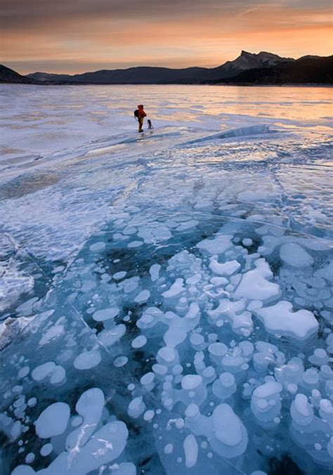 The Frozen Bubbles Of Alberta Canadas Abraham Lake The