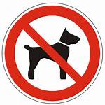 Sign Allowed Pets Icon Animal Dog