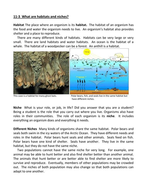 11 3 What Are Habitats And Niches Habitat