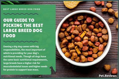 Wouldn't you like to know how appetising. 10 Best (Healthiest) Dog Foods for Large Breed Dogs in 2019