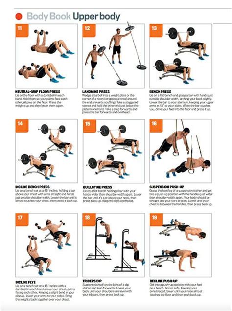 Free Downloadable Workout Poster The 30 Top Upper Body Exercises