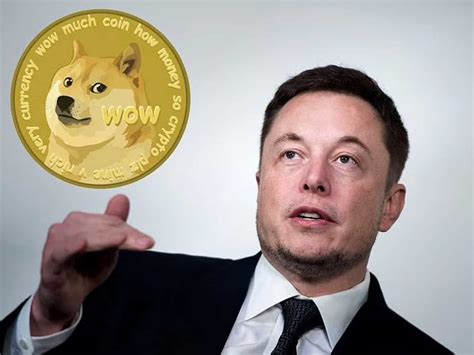 The tech billionaire even went as far as updating his twitter bio with the title former ceo of dogecoin. musk's twitter antics come as the dominant. Musk-promoted Dogecoin crashes as he appears on 'SNL' TV show | Digitpatrox