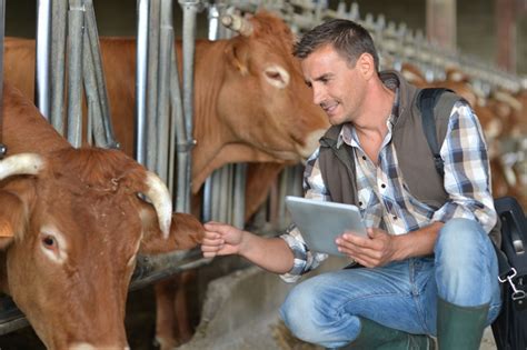 Farm Health Online Animal Health And Welfare Knowledge Hub Health