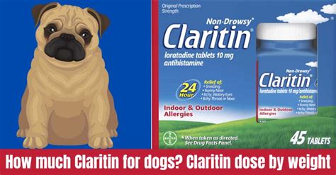 How Much Claritin For Dogs Claritin Dose By Weight