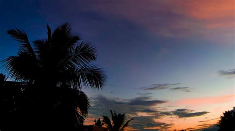 Скачать 1920x1080 пальма закат тропики ночь облака обои картинки