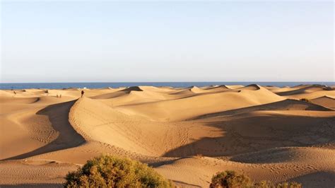 Sex Dunas Of Maspalomas Gran Canary 2 Telegraph