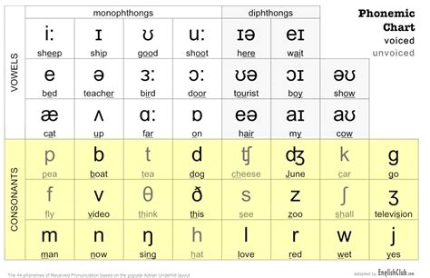 How To Write Phonetic Symbols Brandessay