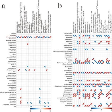 Associations Between Altered Gut Microbial Species And Disturbed Lung