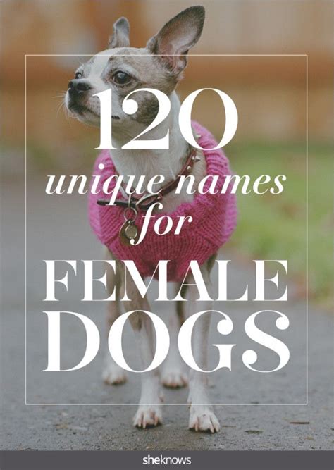 Some sweet pet names for girlfriend are listed here. These dog names promise you'll never have anyone but your ...