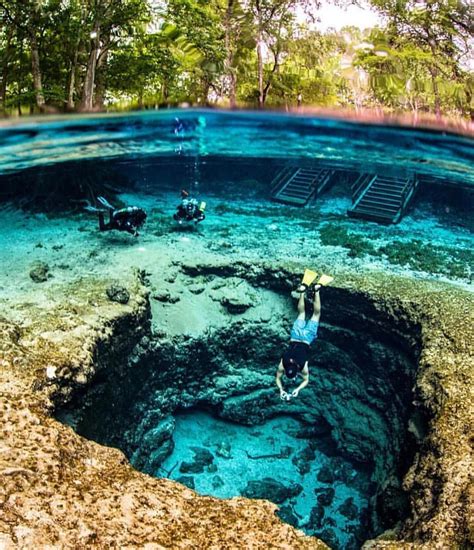 Clear Waters Of Ginnie Springs In Florida Ginnie Springs Is Known For