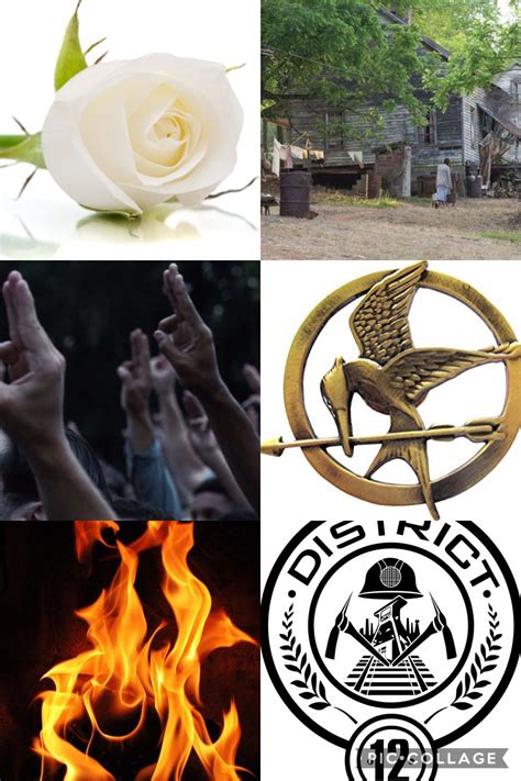 Hunger Games starter pack | Hunger games, Hunger games fandom, Hunger games pictures