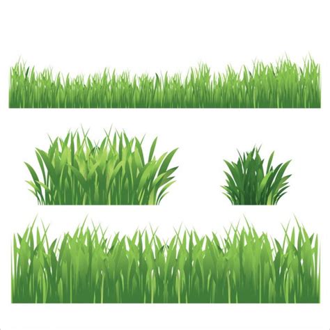 Grass And Meadow Plants Silhouette Illustrations Set Stock Vector Image