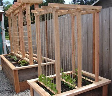 Homemade Trellis Ideas Building Raised Garden Beds Rasied Garden