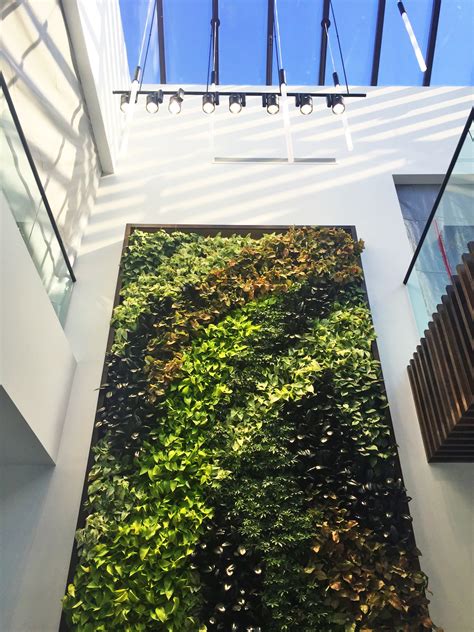 Vertical Art Living Walls Plantscapers