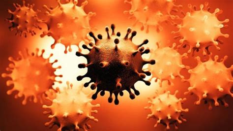 Covid 19 ¿qué Tan Preocupantes Son Las Variantes De Coronavirus De