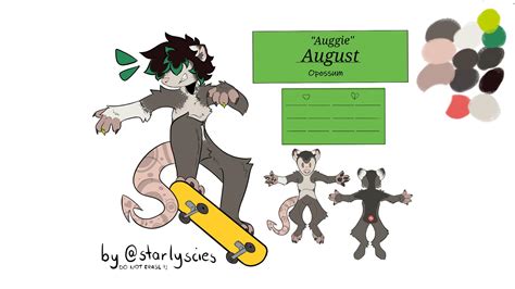 My New Fursona Auggie 🥰 Im Working An My Own Reference Sheet But I