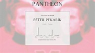 Peter Pekarík Biography - Slovak footballer | Pantheon