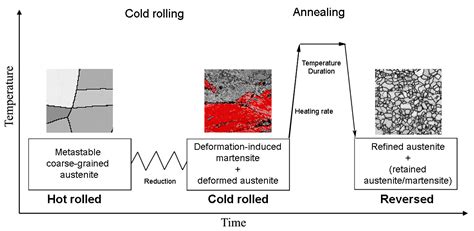 Metals Free Full Text Processing And Properties Of Reversion