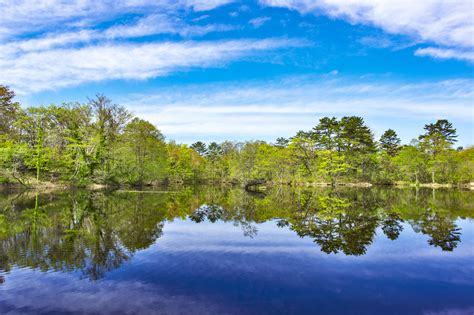 Free Images Landscape Tree Nature Marsh Wilderness Mountain