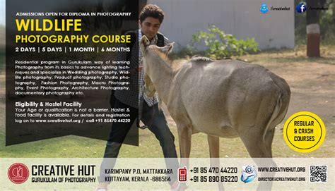 Wildlife Photography Course In India Inselmane