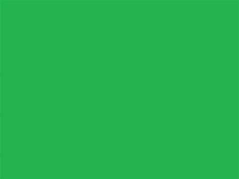 Solid Green Background Solid Green Wallpaper 67 Images Thousands