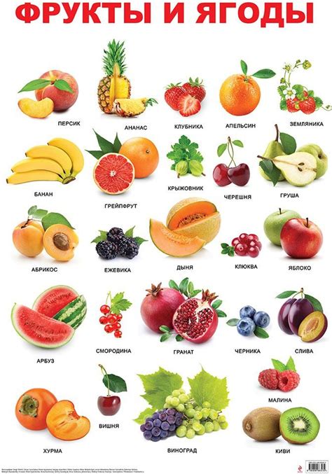 Овощи фрукты ягоды для детей