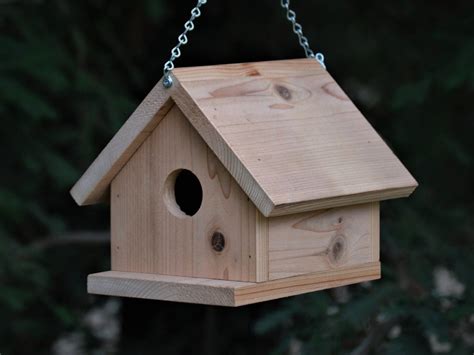 How To Build A Birdhouse Out Of Cedar Christopher Myersa S Coloring Pages