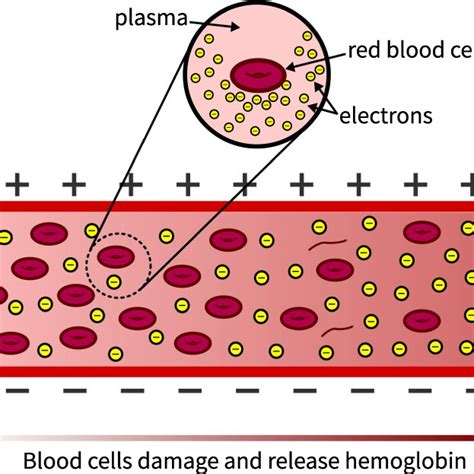 A Blood Resistivity Left Axis And Hemolysis Percentage Right Axis