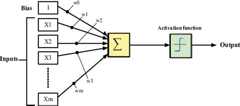The Single Layer Perceptron Network Download Scientific Diagram