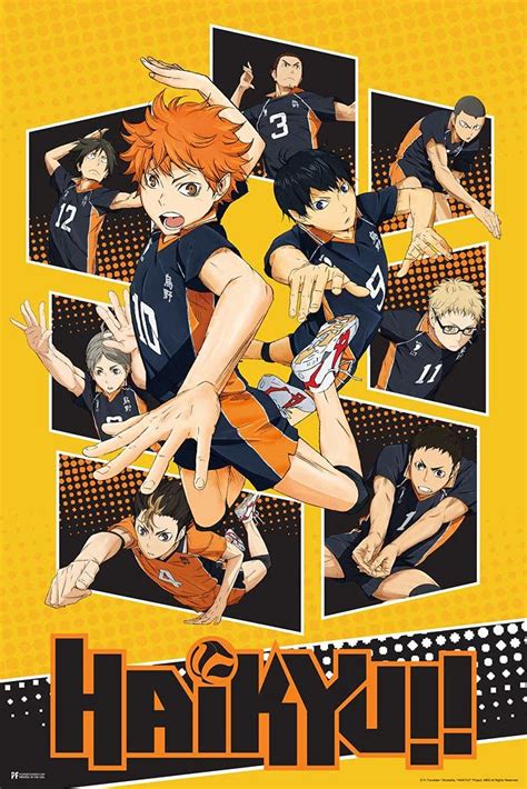 Buy Haikyuu Karasuno High School Volleyball Team Shoyo Anime Stuff