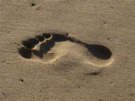Free Images Rock Footprint Feet Wall Soil Human Material