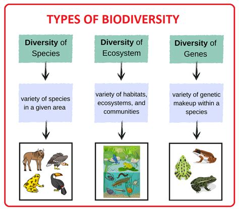 Solved Biodiversity Is Often Defined As The Variety Of All Forms Of