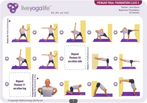 Iyengar Yoga Foundation Complete Set Classes 1 To 7 Live Yoga Life