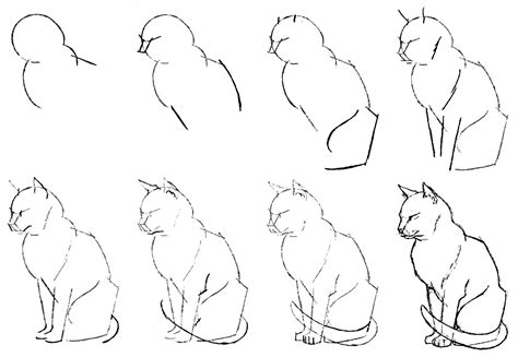 How To Draw A Cat Step By Step 10 Drawing Tutorials For Beginners