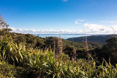 How to Spend Three Days in Auckland | Auckland travel guide, Auckland travel, New zealand holidays