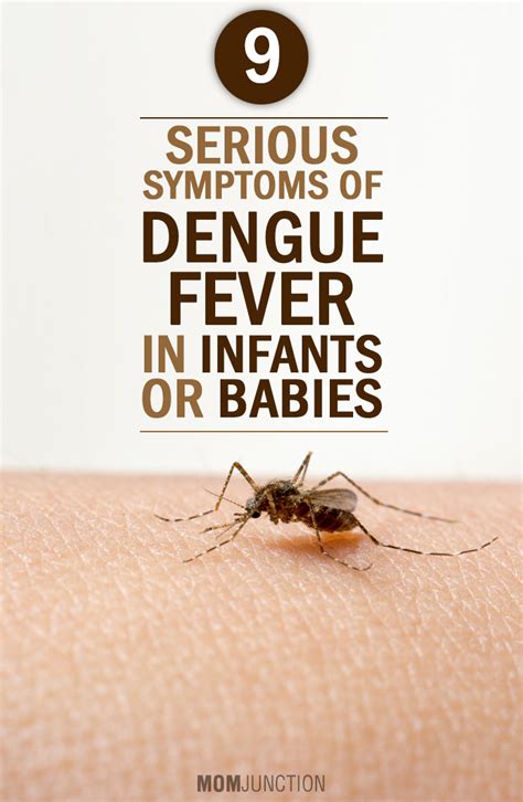 Dengue Symptoms In Babies Causes Diagnosis And Prevention