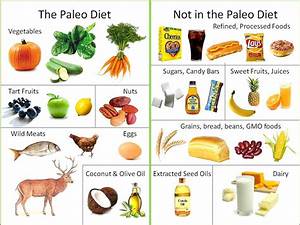 Pros Cons Of The Paleo Diet 39 S Healthy Kitchen